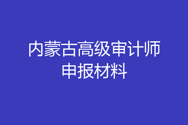 内蒙古高级审计师申报材料
