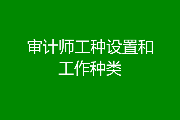 审计师工种设置和工作种类