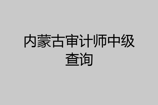 内蒙古审计师中级查询