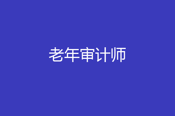 老年审计师