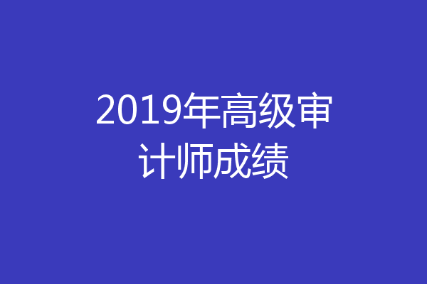 2019年高级审计师成绩