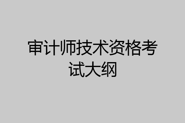 审计师技术资格考试大纲
