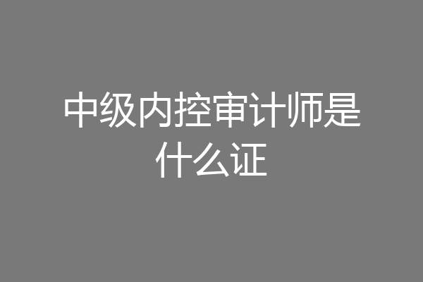 中级内控审计师是什么证