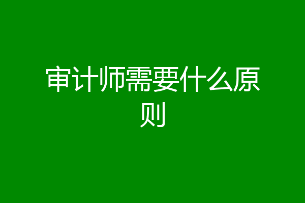 审计师需要什么原则