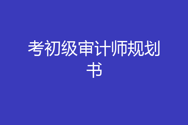 考初级审计师规划书