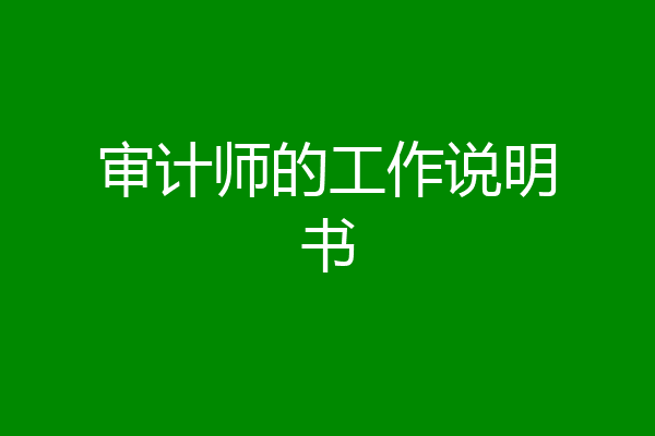 审计师的工作说明书