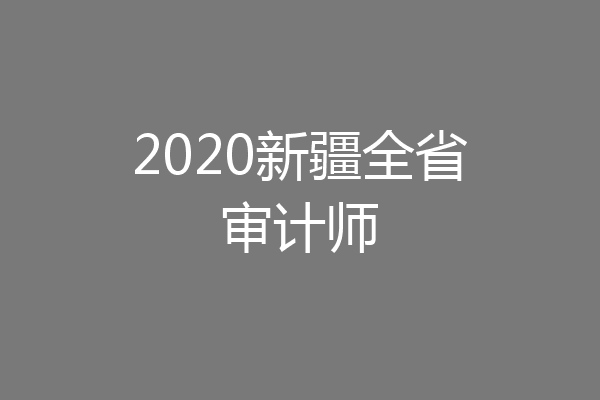 2020新疆全省审计师
