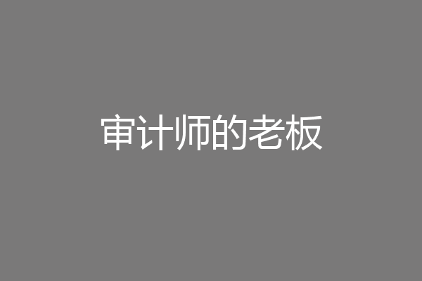 审计师的老板