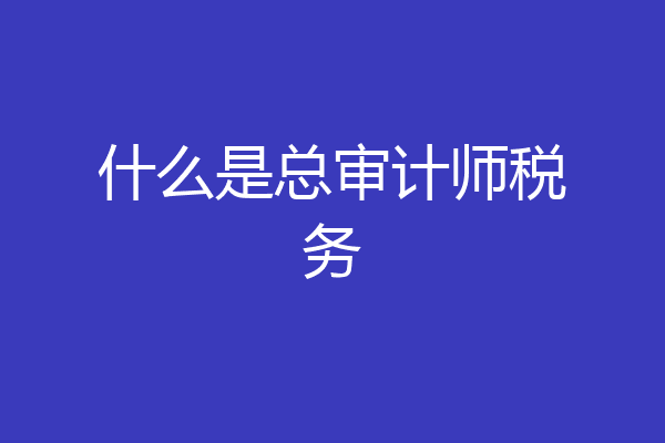 什么是总审计师税务