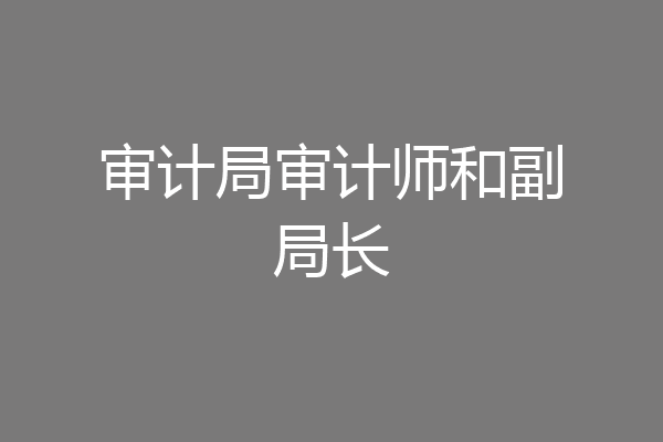 审计局审计师和副局长