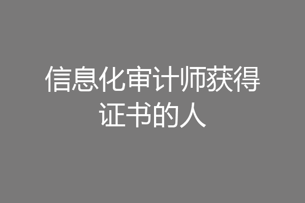 信息化审计师获得证书的人