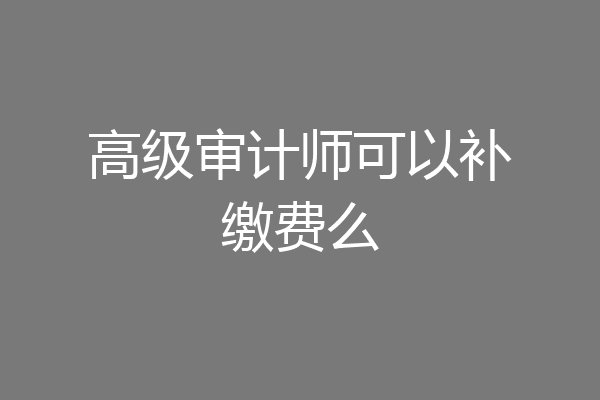 高级审计师可以补缴费么