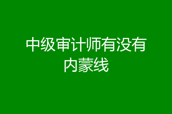 中级审计师有没有内蒙线