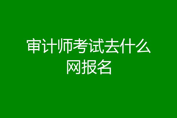 审计师考试去什么网报名