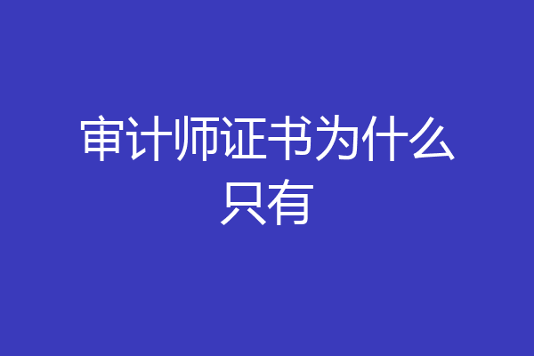 审计师证书为什么只有
