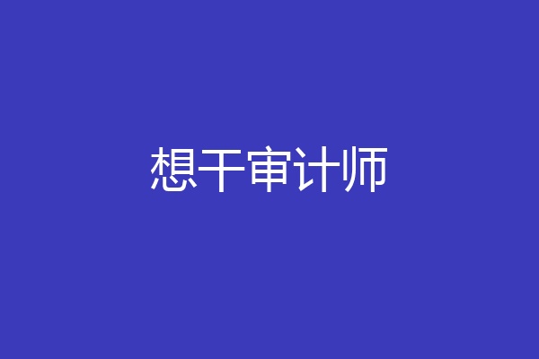 想干审计师