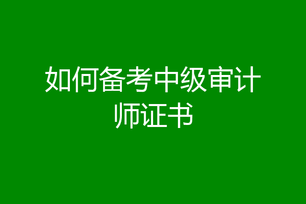 如何备考中级审计师证书
