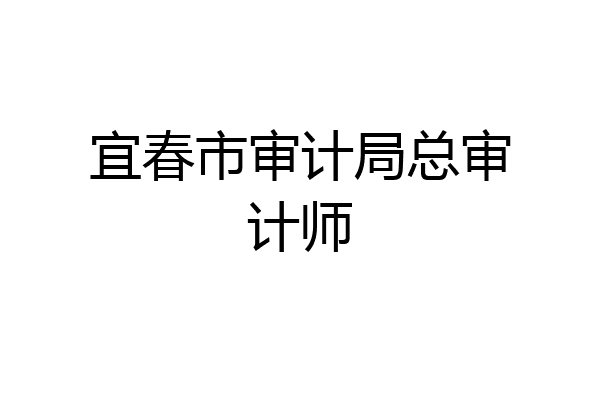 宜春市审计局总审计师