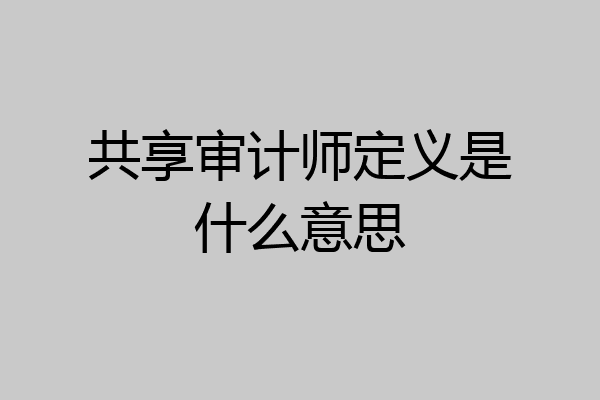 共享审计师定义是什么意思