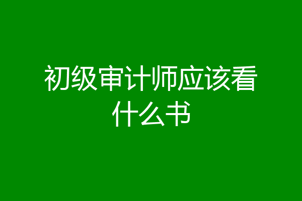 初级审计师应该看什么书