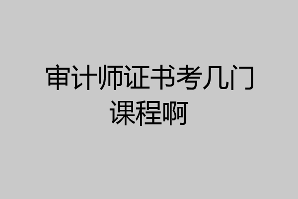 审计师证书考几门课程啊