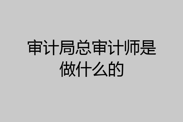 审计局总审计师是做什么的
