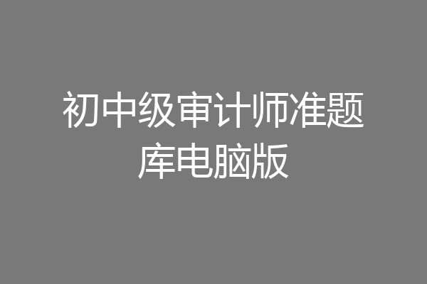 初中级审计师准题库电脑版