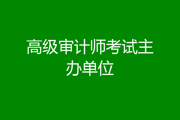 高级审计师考试主办单位