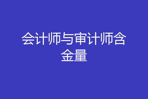 会计师与审计师含金量