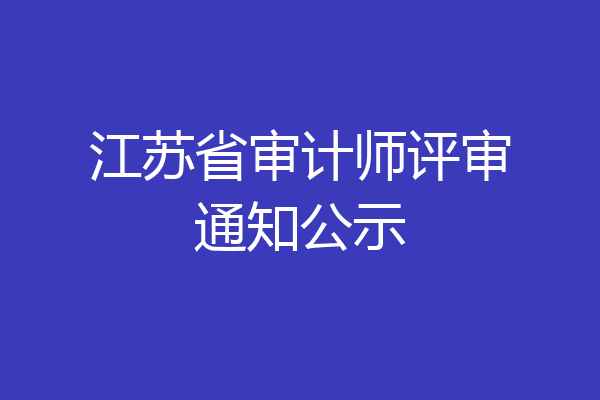 江苏省审计师评审通知公示