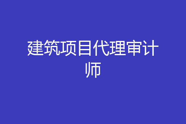 建筑项目代理审计师
