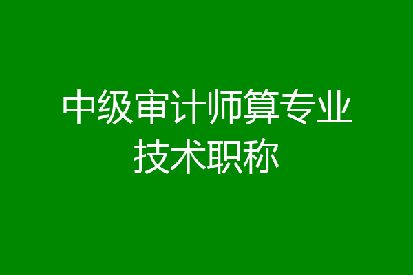 中级审计师算专业技术职称