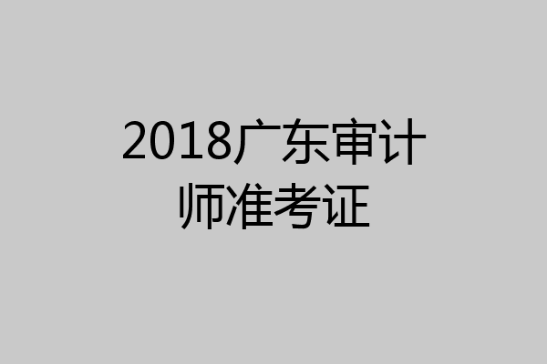 2018广东审计师准考证