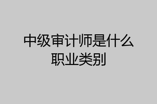 中级审计师是什么职业类别
