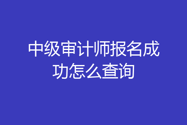 中级审计师报名成功怎么查询