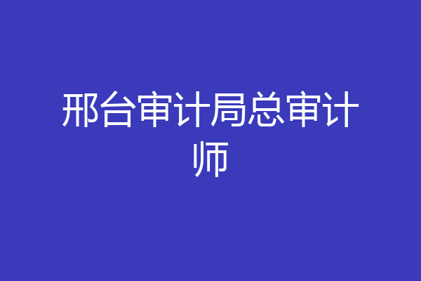 邢台审计局总审计师