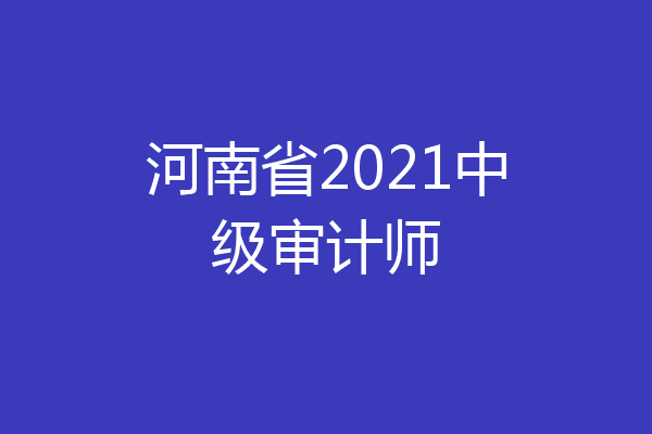 河南省2021中级审计师