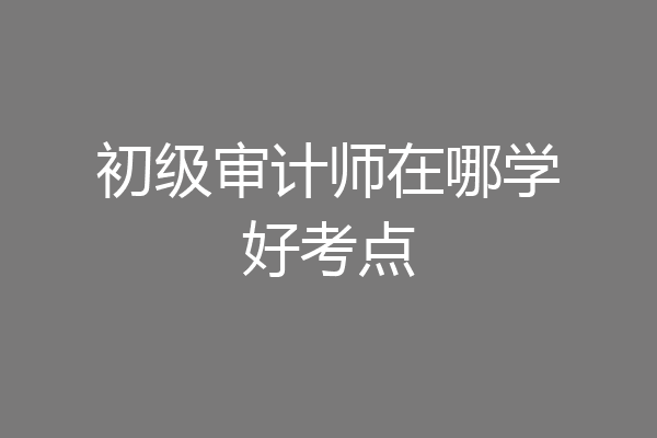 初级审计师在哪学好考点