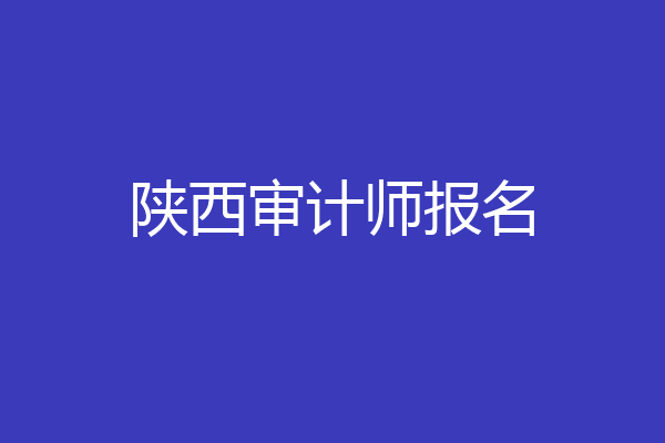 陕西审计师报名