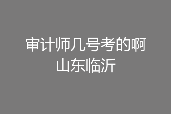 审计师几号考的啊山东临沂