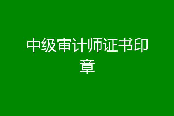 中级审计师证书印章