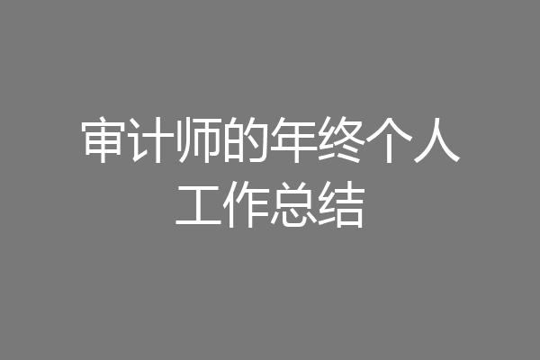 审计师的年终个人工作总结