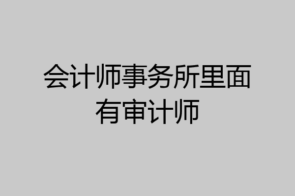 会计师事务所里面有审计师