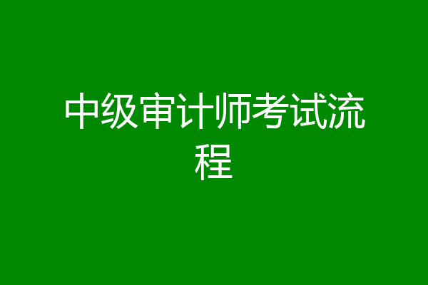 中级审计师考试流程