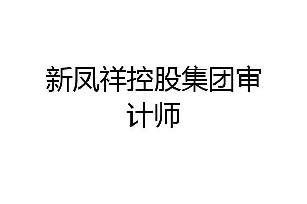 新凤祥控股集团审计师