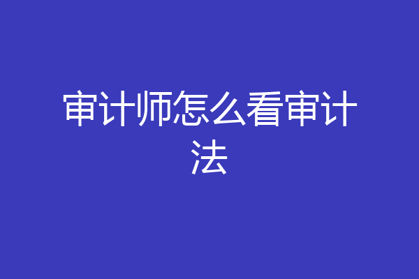 审计师怎么看审计法