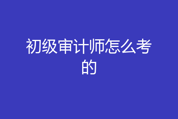 初级审计师怎么考的