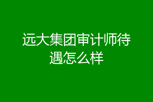 远大集团审计师待遇怎么样