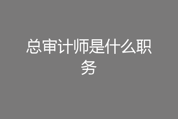 总审计师是什么职务