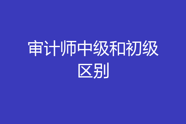 审计师中级和初级区别